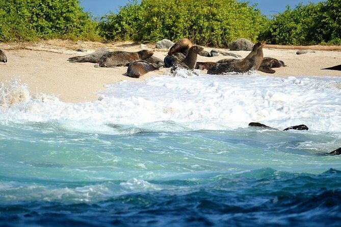galapagos-santa-cruz-explorer-4-days