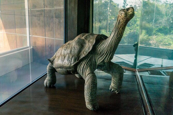 galapagos-santa-cruz-explorer-4-days