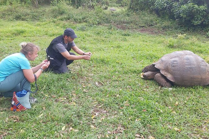 galapagos-santa-cruz-explorer-4-days