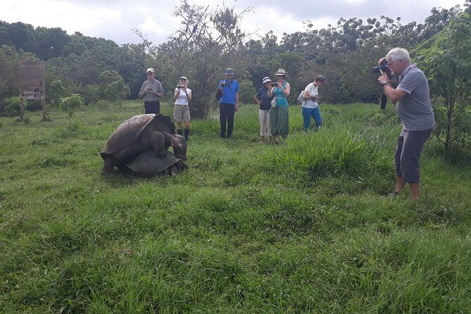 galapagos-santa-cruz-explorer-4-days