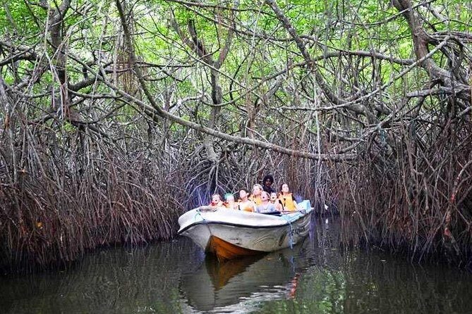 Galle and Bentota Day Excursion From Colombo - Key Points