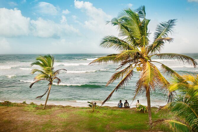Galle & Bentota Day Tour with River safari From Colombo & Negombo - Practical Details & What You’ll Get