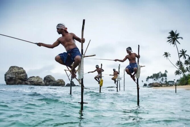 Galle City Sightseeing Tour by Tuk Tuk - A Genuine Look at the Galle City Sightseeing Tour by Tuk Tuk