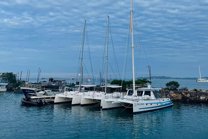 Galle Coast Explorer Scenic Train River Safari and Heritage Sites - Transportation and Logistics