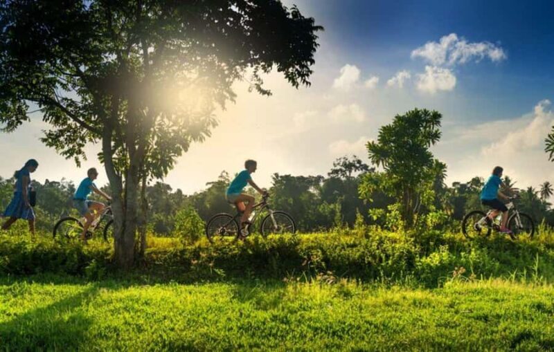 Galle: Countryside E-Bike Tour with Hotel Pickup - Key Points