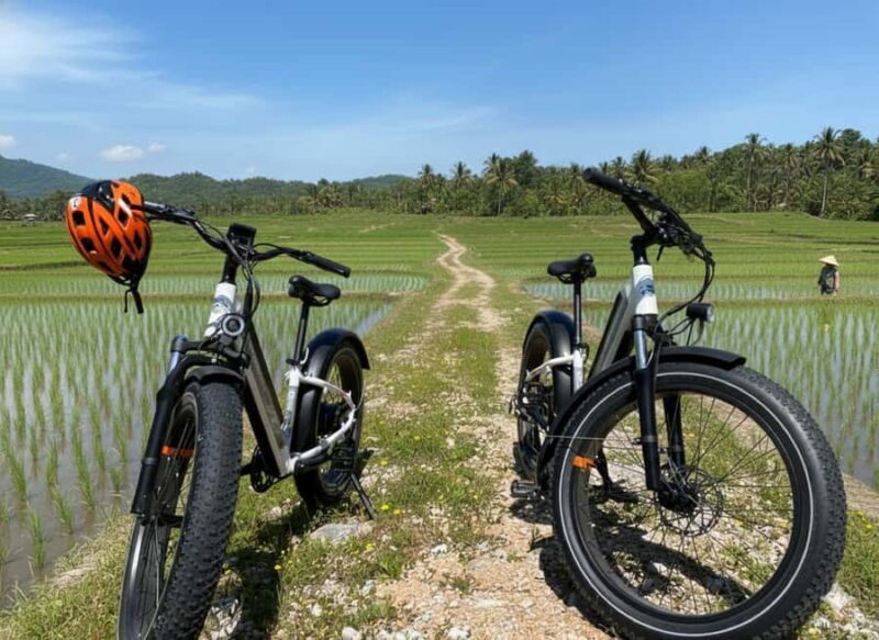 Galle: Countryside E-Bike Tour with Hotel Pickup - A Deep Dive into the Galle Countryside E-Bike Tour