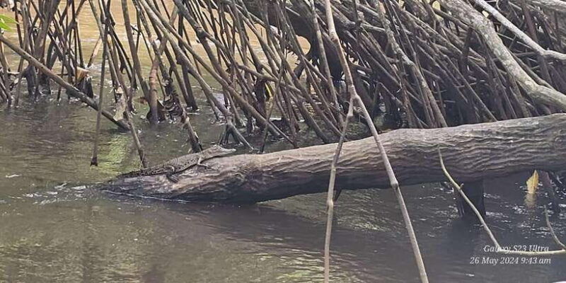 galle-day-tour-from-ahungalla-kosgoda-bentota-beruwala