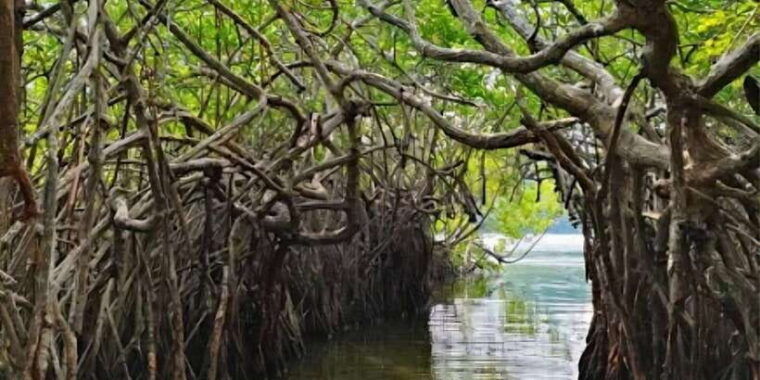 galle-day-tour-from-ahungalla-kosgoda-bentota-beruwala