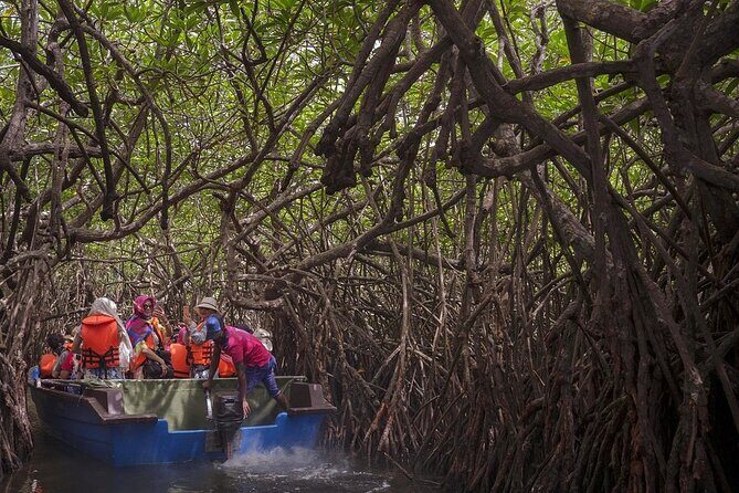 Galle Day Tour from Colombo /Negombo /Kalutara /Bentota /Wadduwa (All Inclusive) - Authentic Experiences and Insights From Reviews