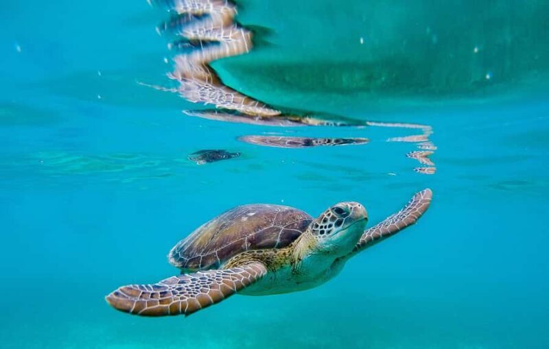 GALLE DAY TOUR from Rekawa/Tangalle/Hiriketiya/Talalla &More - Exploring Galle Fort: A UNESCO World Heritage Site