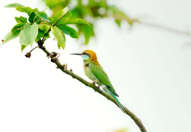 GALLE DAY TOUR from Rekawa/Tangalle/Hiriketiya/Talalla &More - Price and Overall Value