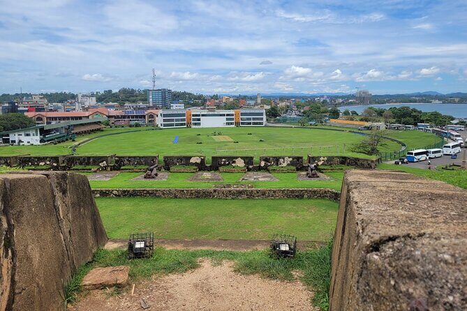 Galle Day Tour with River Safari, Tea Plantation & Sea Turtle - The Sum Up: Who Should Consider This Tour?