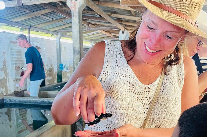 Galle Day Tour with Turtle Hatchery & River Boat Safari - FAQ