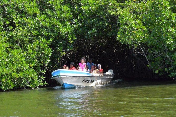 Galle Day Tour With Water Sport In Bentota From Galle - Who Should Consider This Tour?