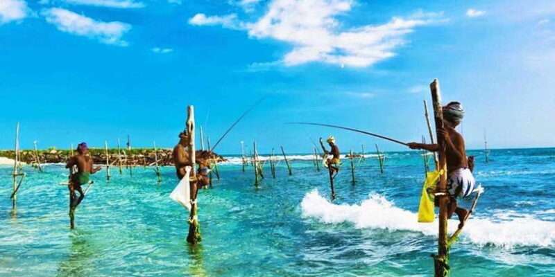 Galle Day Trip - River Safari, Sea Turtle & Stilt Fishermen - Key Points