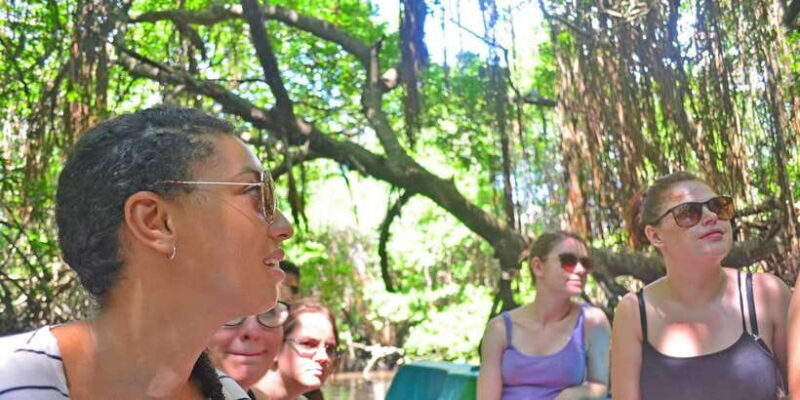 Galle Day Trip with River Safari, Sea Turtles & Tea Factory - Key Points