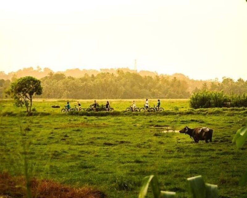 Galle: E-Bike Tour with Village Lunch and Local Guide - Discover the Heart of Sri Lanka’s Countryside