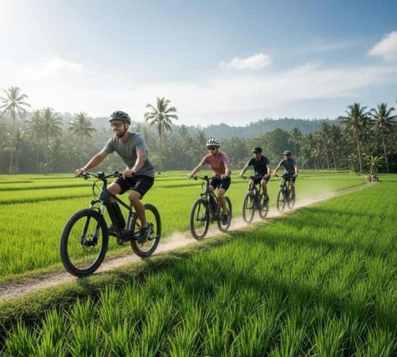 Galle: E-Bike Tour with Village Lunch and Local Guide - What Makes This Tour Stand Out?