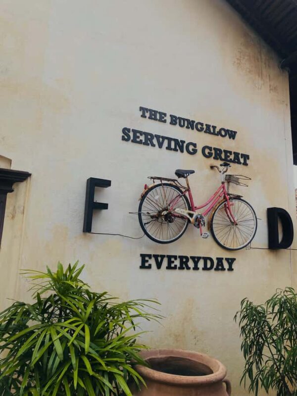 Galle Fort, Mask Museum, and Turtle Hatchery Day Trip - The Sum Up