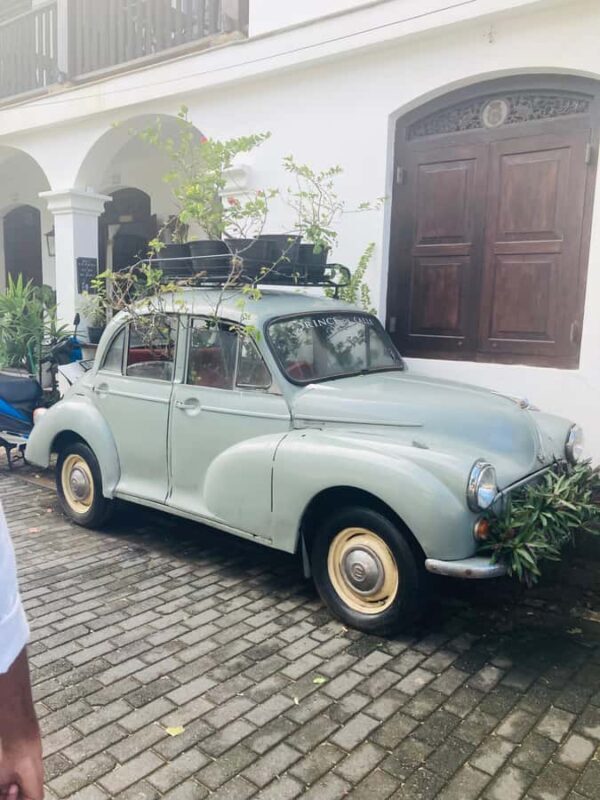 Galle Fort, Mask Museum, and Turtle Hatchery Day Trip - FAQ