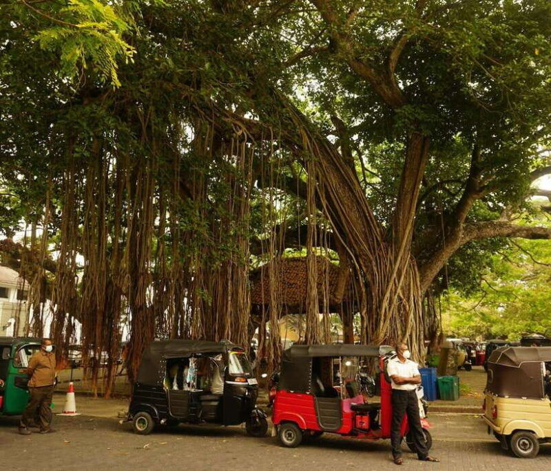 galle-fort-walking-tour-with-local-guide-lunch