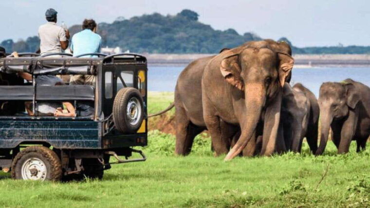 galle-hikkaduwa-bentota-kosgoda-yala-national-park-safari