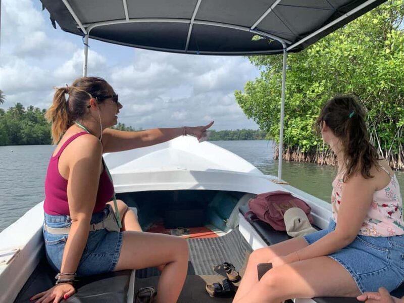 Galle: Koggala Lake Boat Safari with Monkeys Birds & Nature - Who Will Love This Tour?