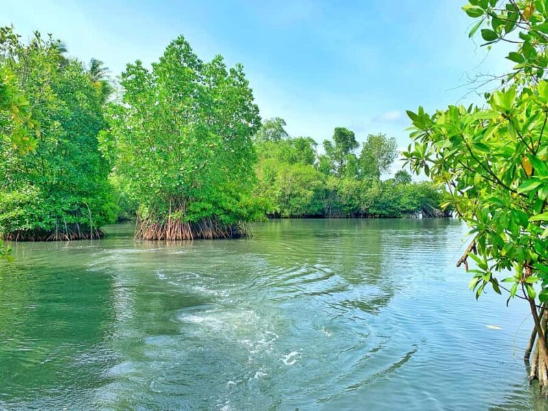 Galle: Koggala Lake Boat Safari with Monkeys Birds & Nature - FAQs