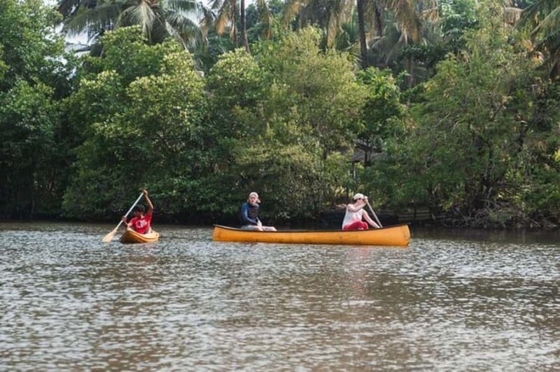 Galle: Lagoon Canoeing Tour with Hotel Pickup - Key Points