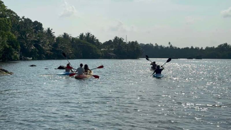 Galle/Mirissa: Koggala Lake Boat Safari and Kayaking Tour - Galle/Mirissa: Koggala Lake Boat Safari and Kayaking Tour — A Complete Guide