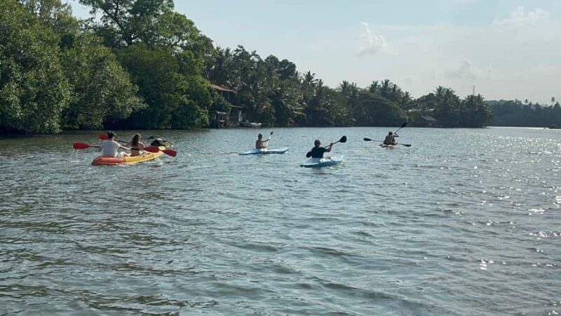 Galle/Mirissa: Koggala Lake Boat Safari and Kayaking Tour - The Experience: What We Think