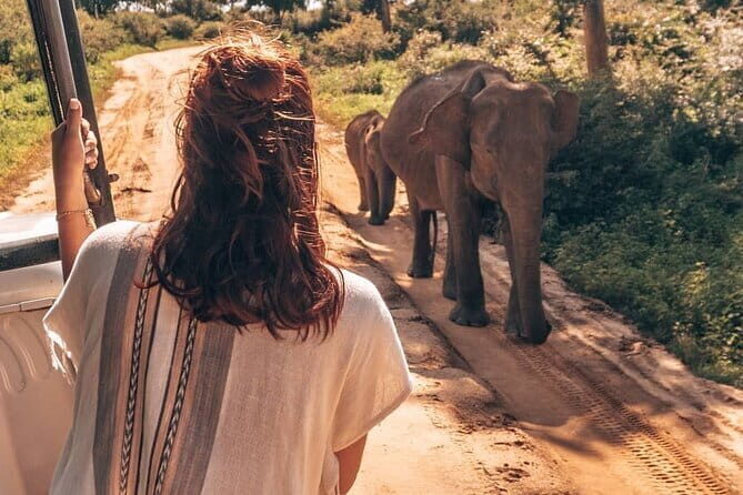 Galle/Mirissa/Tangalle: Transfer to Ella & Yala/Udawalawa Safari - The Sum Up