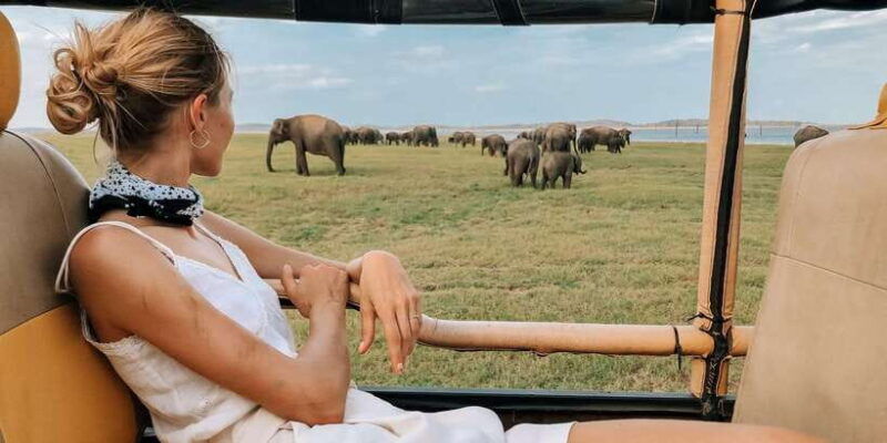 galle-mirissa-yala-udawalawe-safari-day-trip-with-picnic