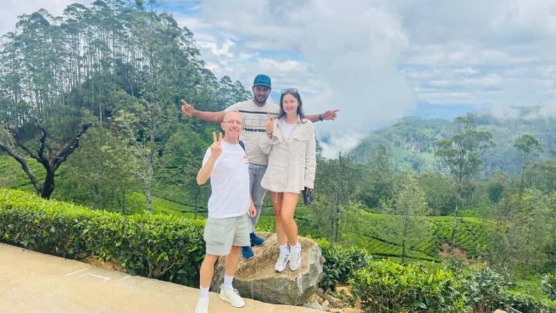 Galle: Nuwara Eliya Private Tour with Tea Factory Visit - The Tea Plantation Walk