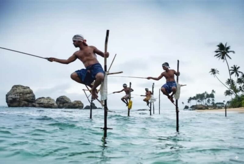 Galle: Private City Sightseeing Guided Tour by Tuk Tuk - Key Points