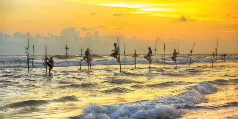 Galle Private Day Tour - River Safari, Turtle Hatchery - Frequently Asked Questions