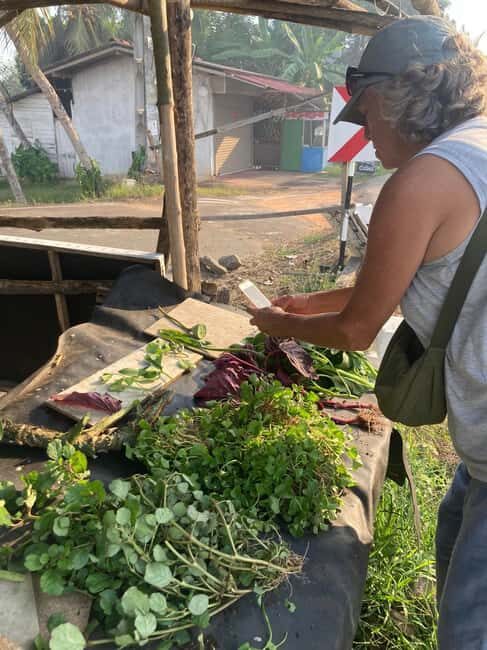 Galle: River Boat Tour with Farm-to-Table Cooking Class - Meeting the Farmers & Foraging for Fresh Ingredients