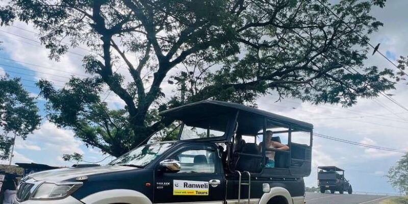 galle-to-ella-drop-via-udawalawe-safari-included