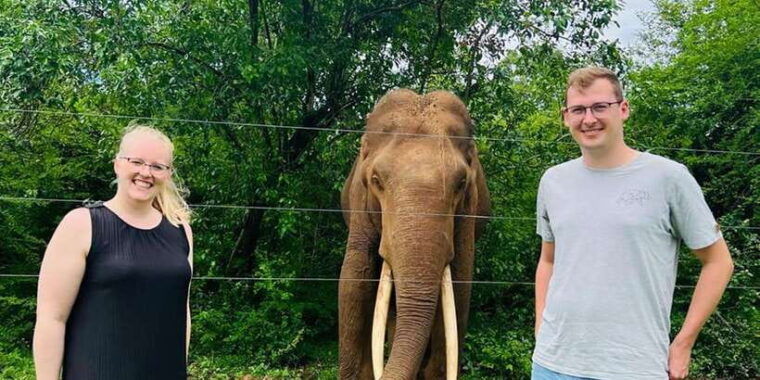 galle-to-ella-drop-via-udawalawe-safari-included
