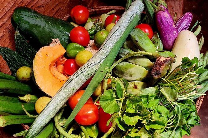 Galle Village Cooking Class by AGS - Final Thoughts