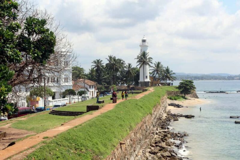 Galle with Turtle Hatchery & Mangrove Safari All Inclusive - A Detailed Look at the Galle with Turtle Hatchery & Mangrove Safari Tour