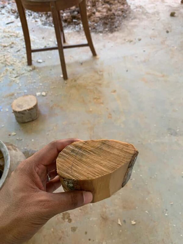 Galle: Wooden Elephant carving & Painting Workshop - Summary