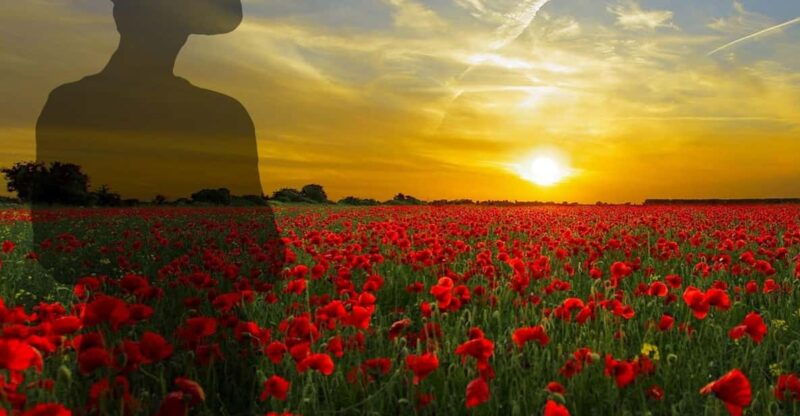 gallipoli-full-day-tour-from-istanbul-2