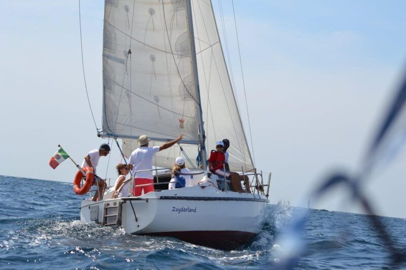 gallipoli-private-eco-sailing-tour-with-environmental-guide
