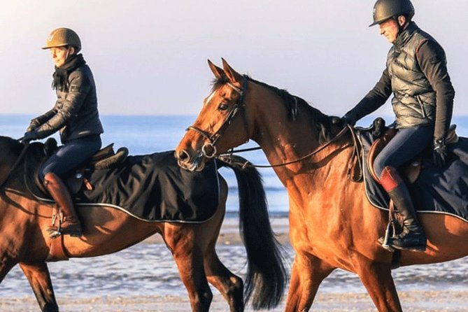 gallop-on-deauville-beach