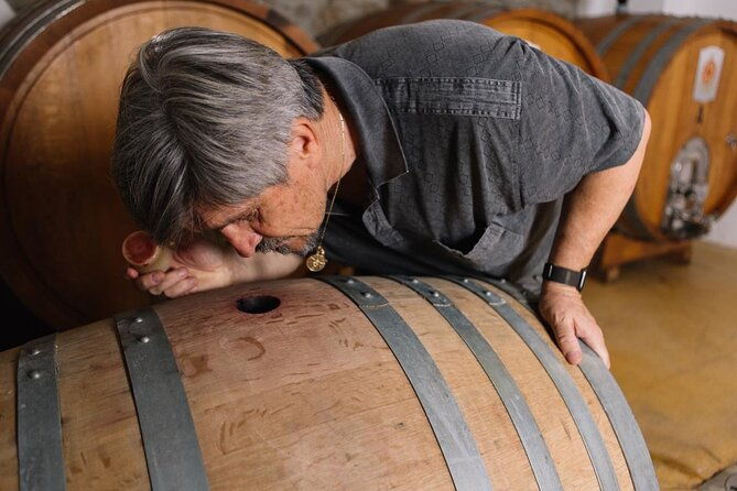 gallura-winery-with-wine-tasting-in-olbia