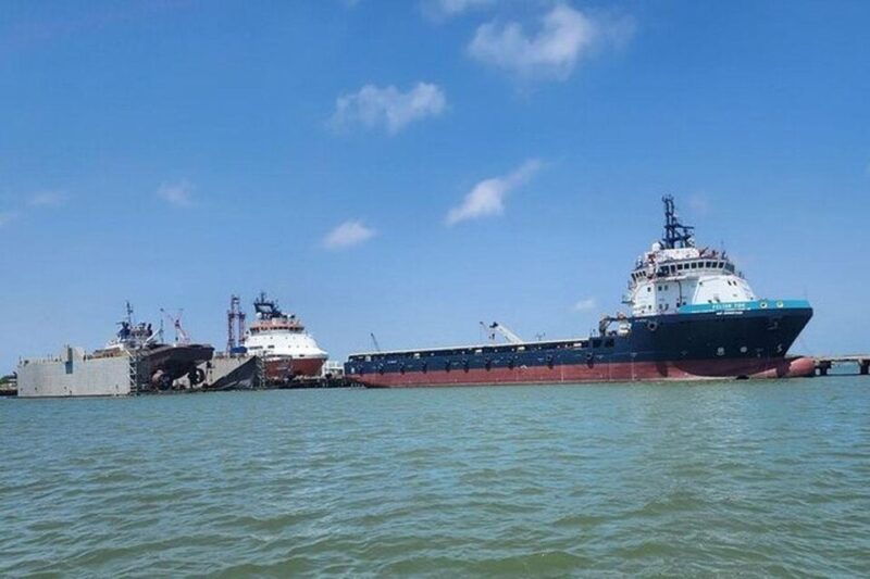 galveston-dolphin-watching-boat-tour-in-galveston-bay