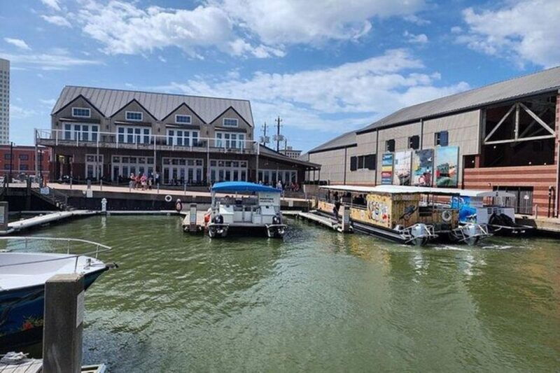 galveston-dolphin-watching-boat-tour-in-galveston-bay
