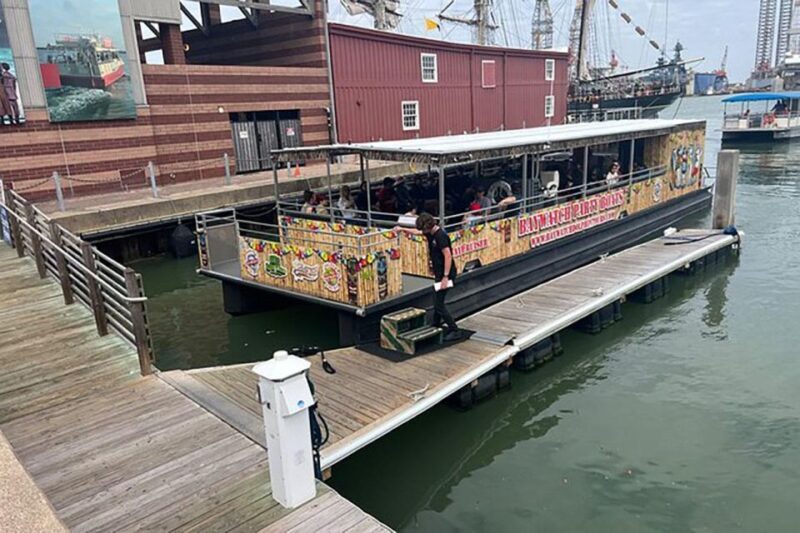 Galveston: Dolphin-Watching Cruise - What to Expect on the Dolphin-Watching Cruise