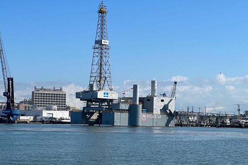 Galveston: Dolphin-Watching Cruise - Who Should Consider This Tour?